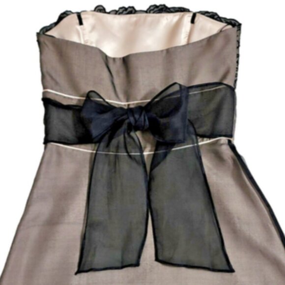 White House Black Market Silk Chiffon Strapless w/Floral Embroidery Detail 0 - Picture 9 of 10